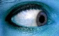 eye4bluesmall2-1.webp
