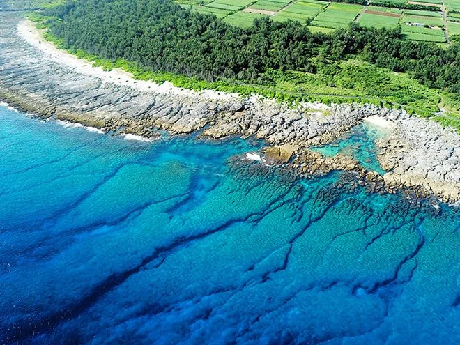 The coral reef terraces of Kikaijima Island