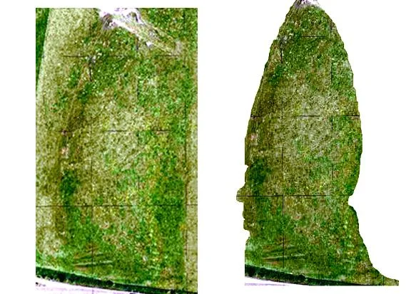 facecompare888tb7gif-1.webp