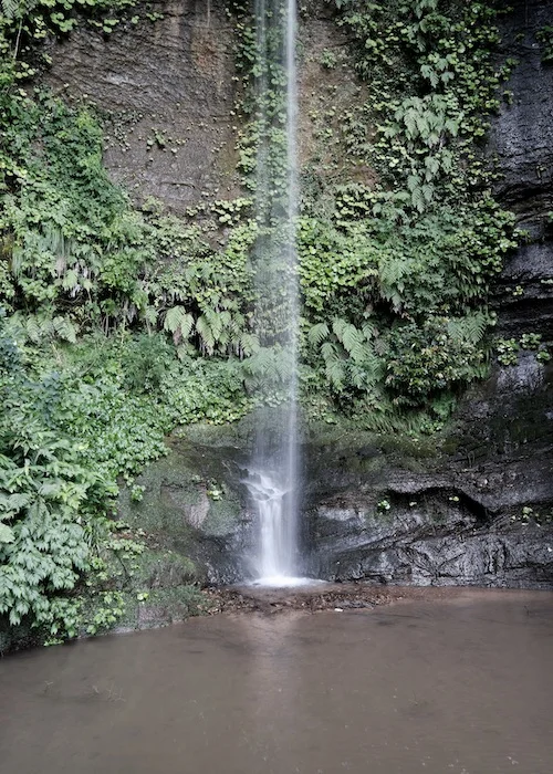 fall 1:8sec.webp