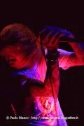 fbb2e439424521gif-1.webp
