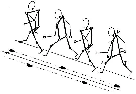 fig113GIF-1.webp