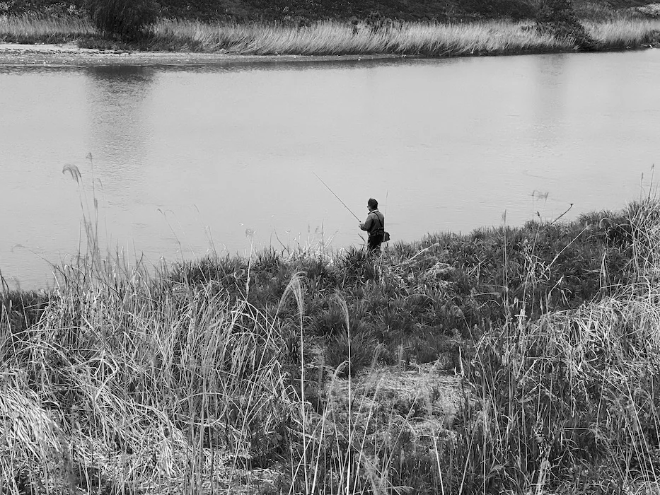 fishing.webp