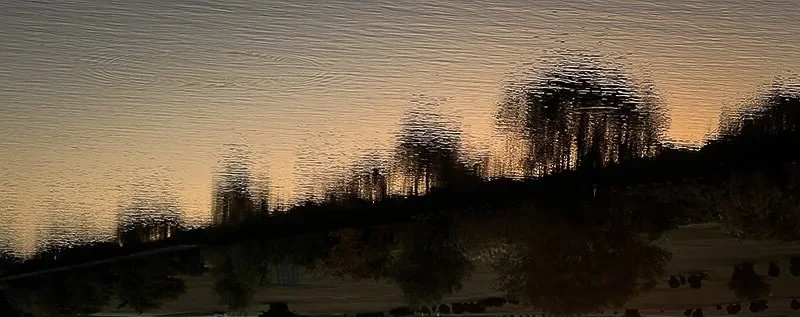 flipped cropped.webp