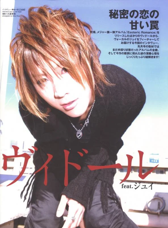 fm331vidoll1-1.webp