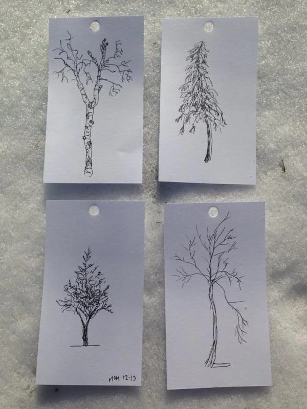 four_trees_by_naha_defd6zuem2-1.webp