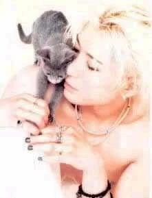 gackt2520catty-1.webp