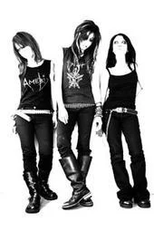 gallhammer-1.webp