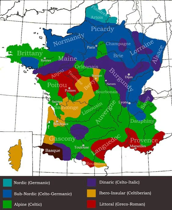 genetic-map-of-france.webp