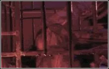gifkai2il7gif-1.webp