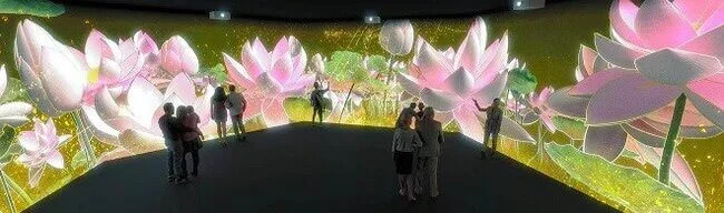 glimpse-nirvana.webp