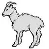 goatgif-1.webp