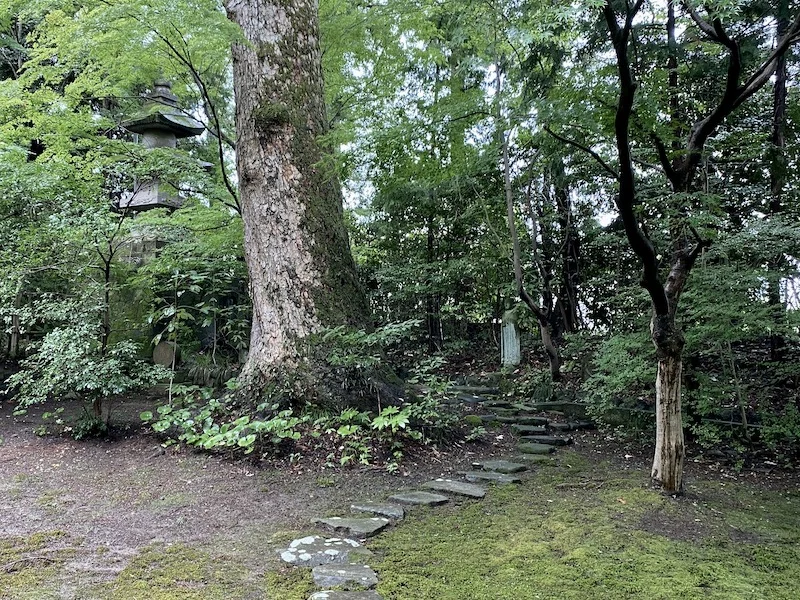 greens.webp