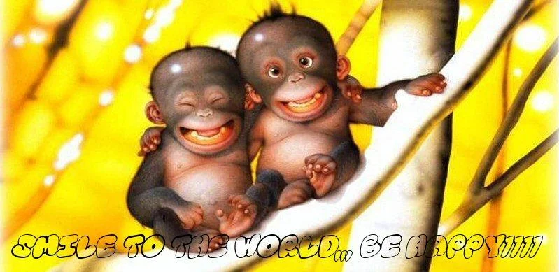 Happy-1.webp
