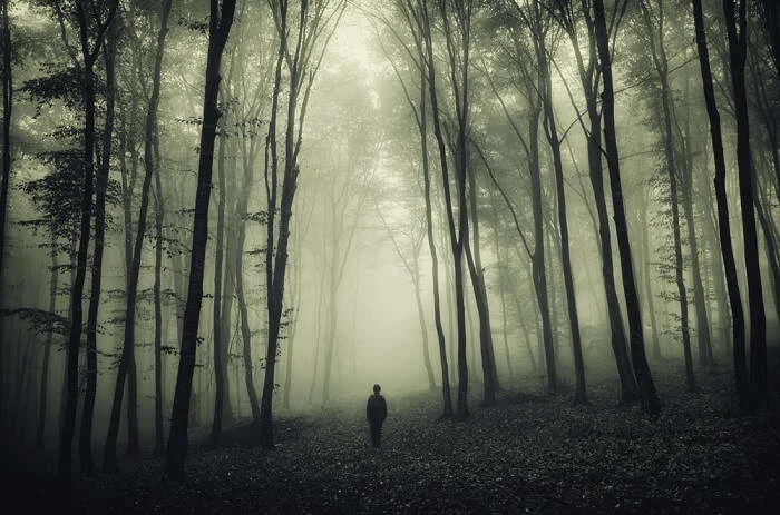 haunted-places-in-japan-cover.webp