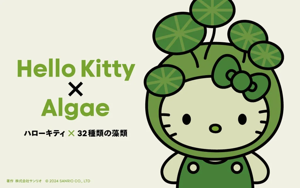 Hello Kitty Algae