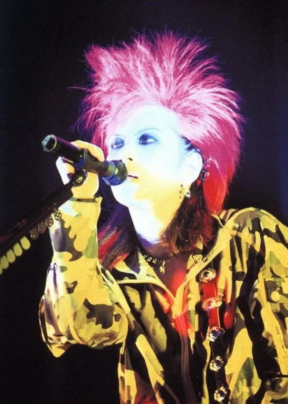 Hide7-2.webp