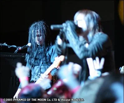 hizerolive-1.webp