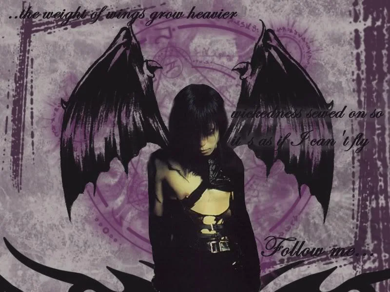 HizuWings-1.webp