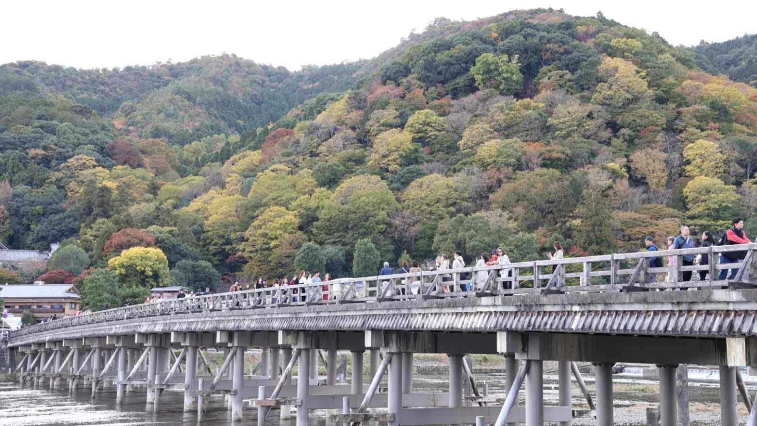 Climate change shifts Kyoto's autumn colours into December