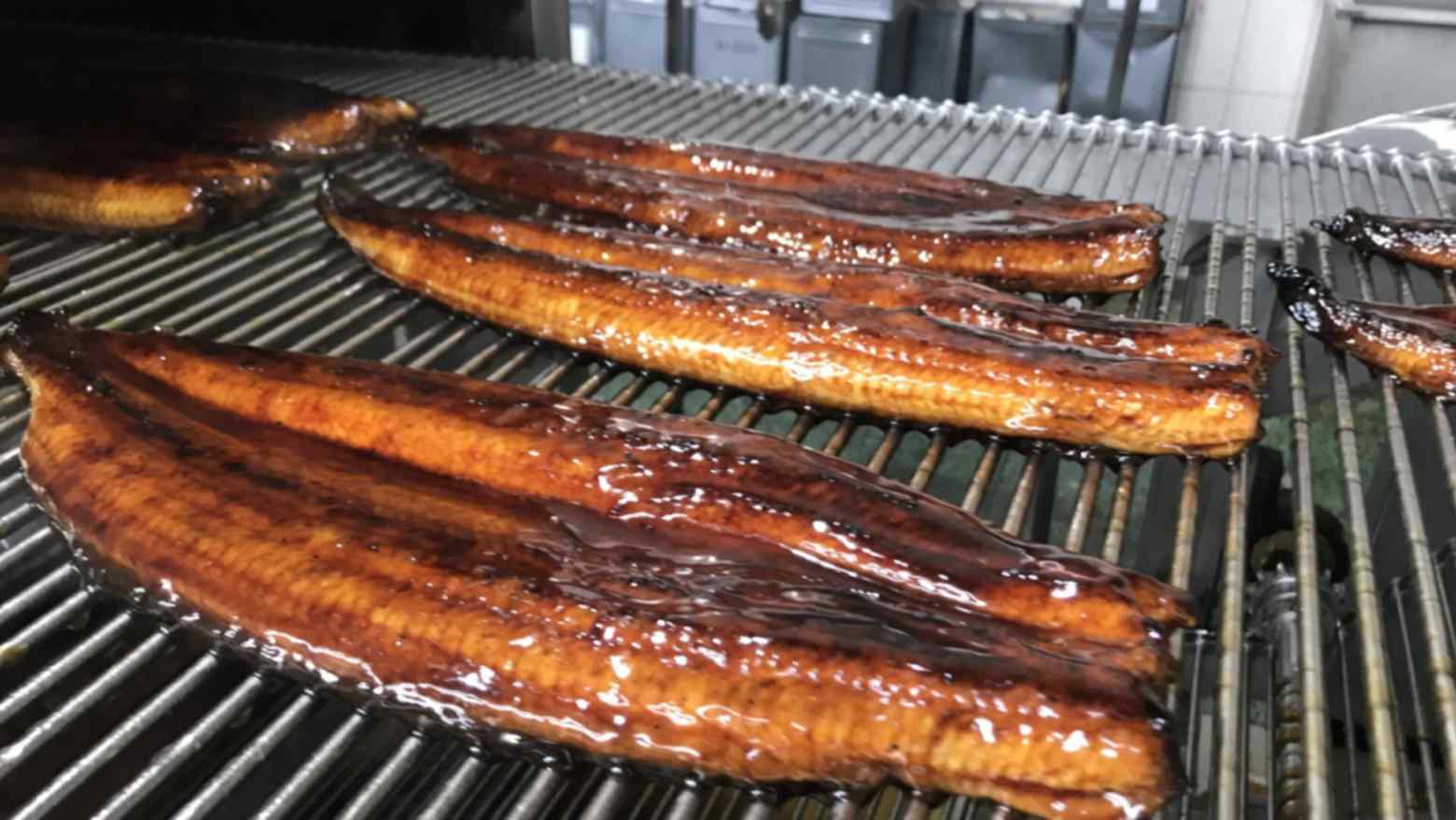 Japan expected to see increasing eel prices under new trade restrictions