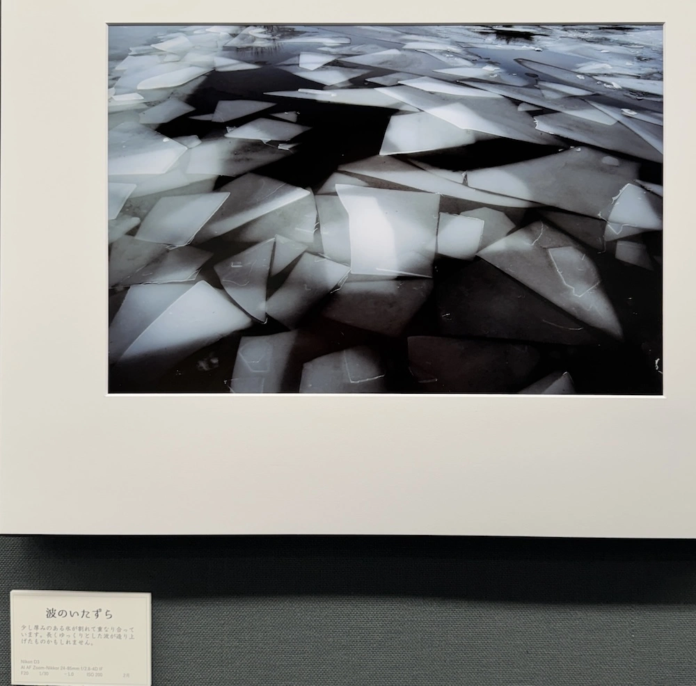 ice.webp