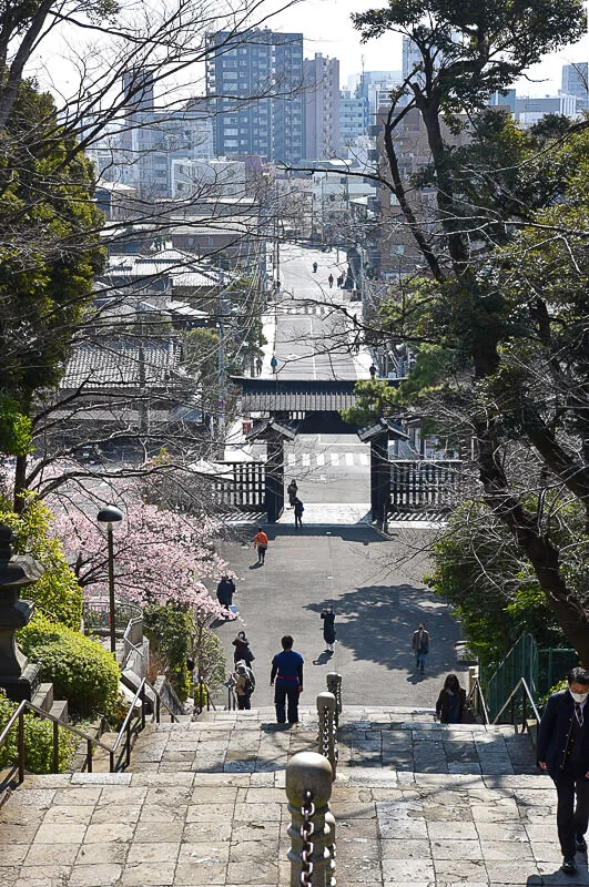 ikegami-4.jpg