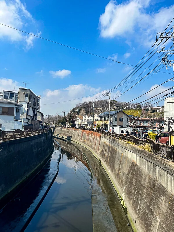 ikegami-7.jpg
