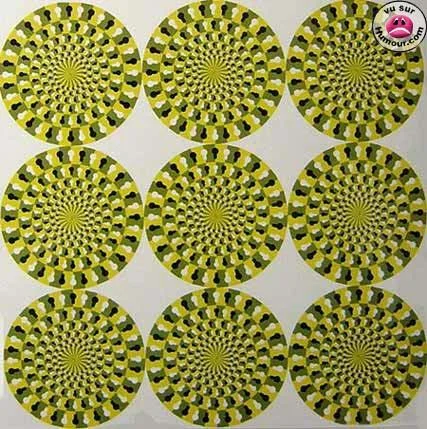 illusion2010-1.webp