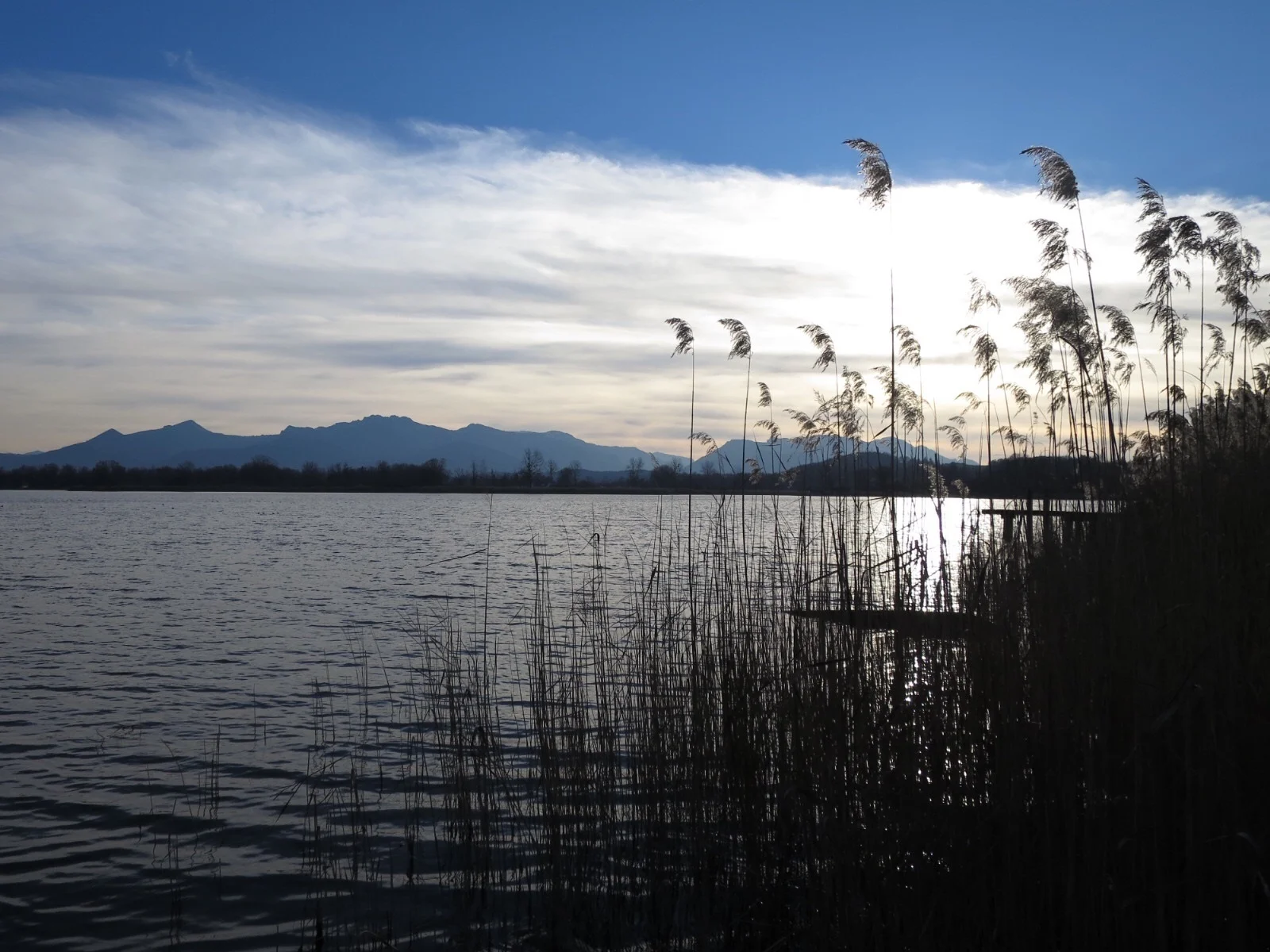 image.webp