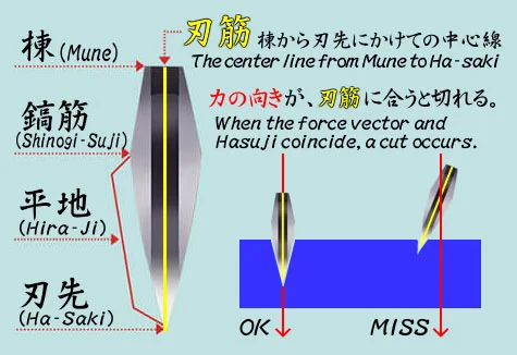 image10.webp
