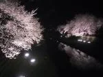 images2-1.webp
