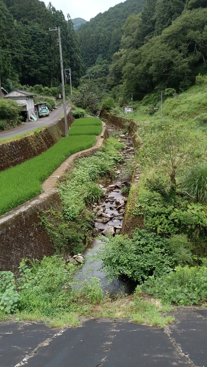 IMG-20230714-WA0000.webp