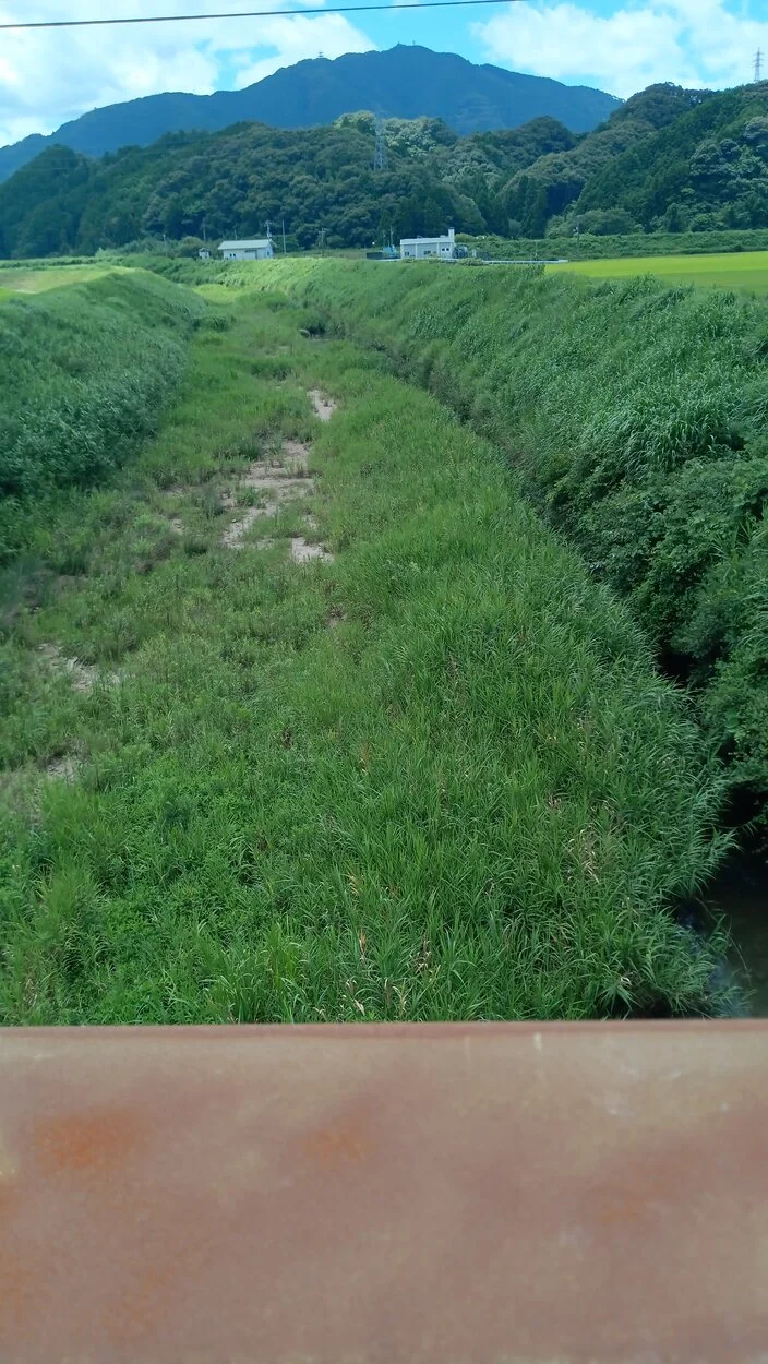 IMG-20230717-WA0003.webp