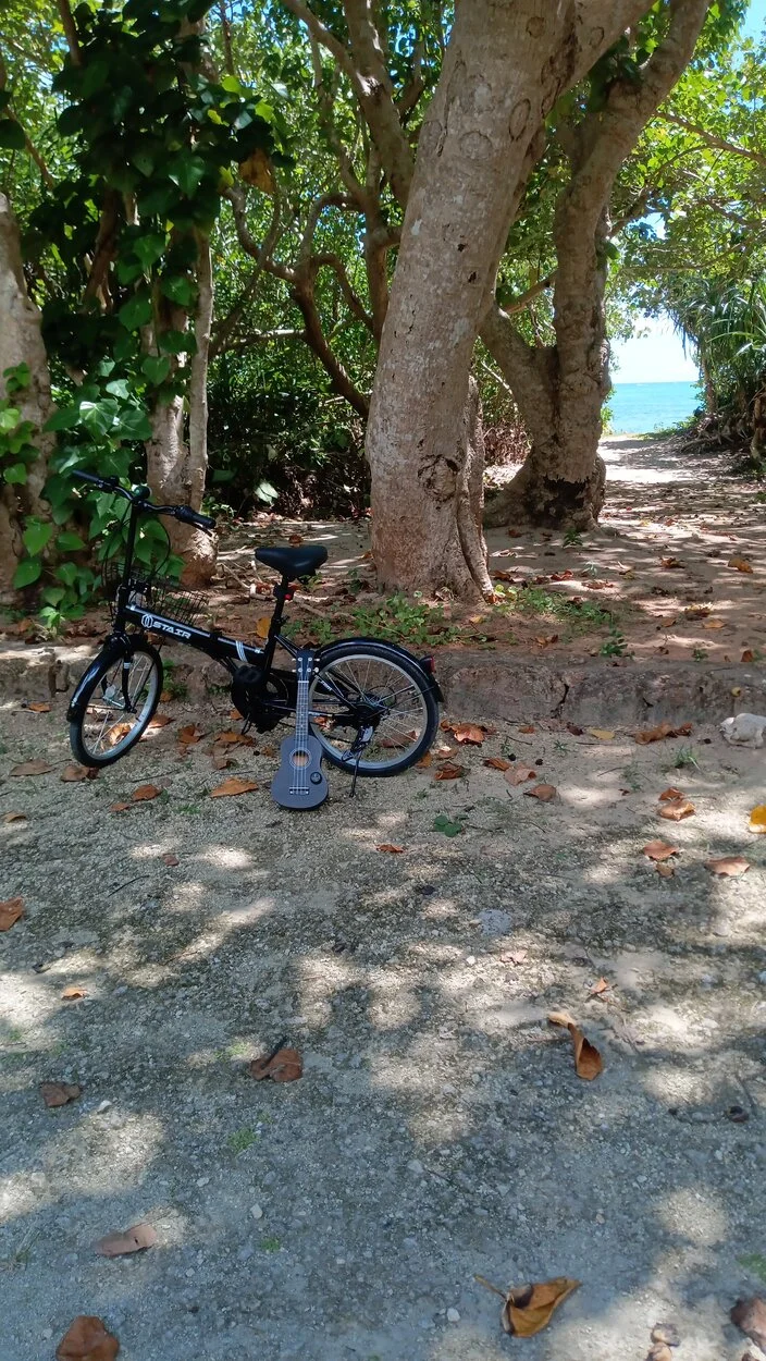 IMG-20230924-WA0005.jpeg