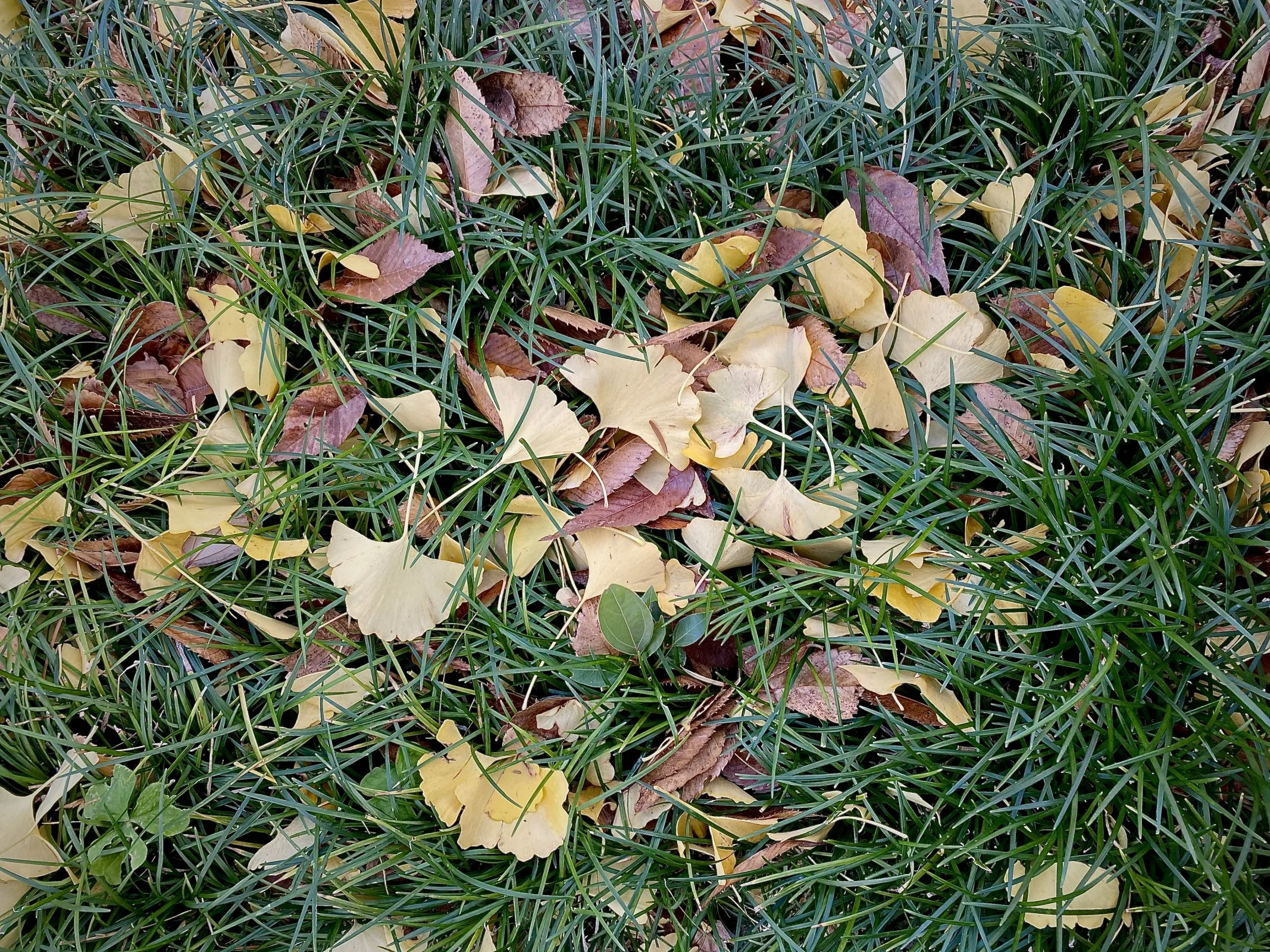 IMG_0472.webp