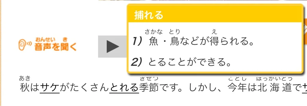 IMG_1314.webp