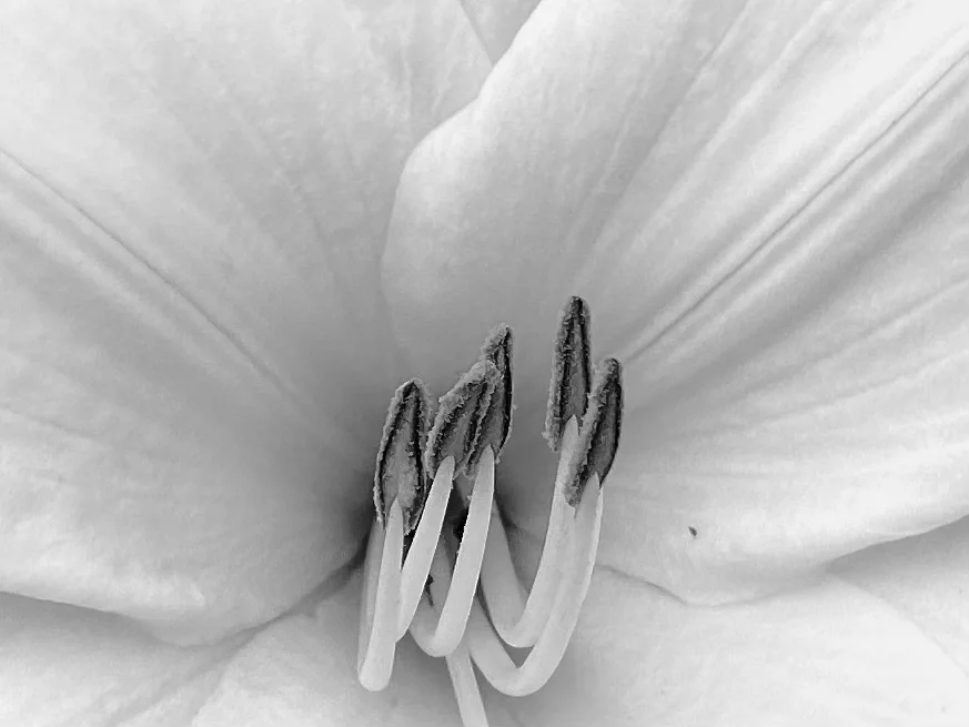 IMG_1670 2.jpeg