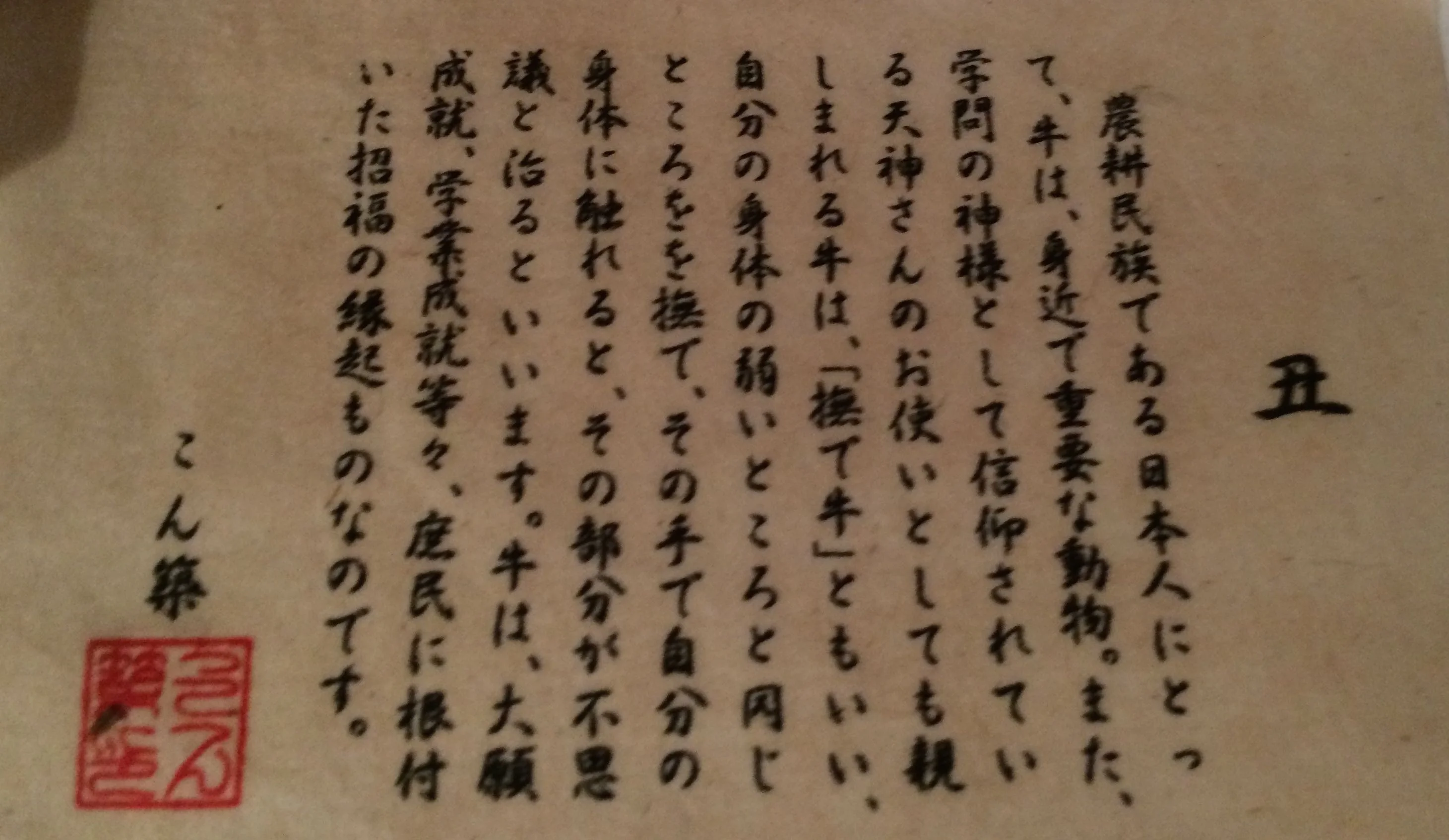 IMG_1682-1.webp