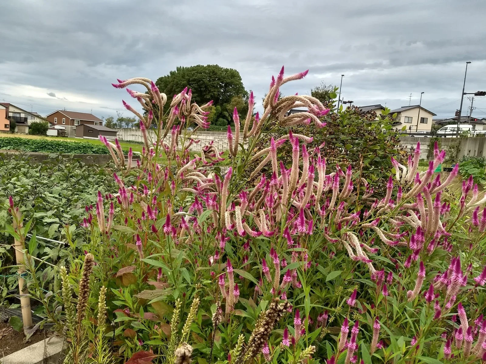 IMG_20180927_112058760_HDR.webp