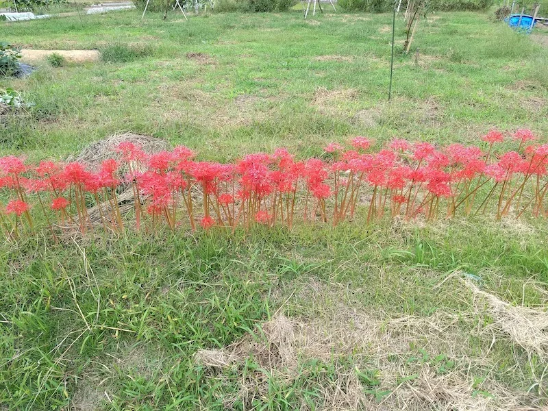 IMG_20191002_082653494.webp