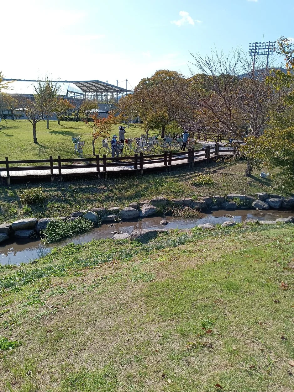 IMG_20221028_140118.webp