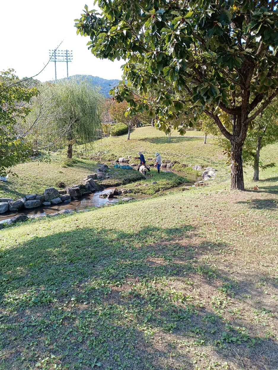 IMG_20221028_140136.webp
