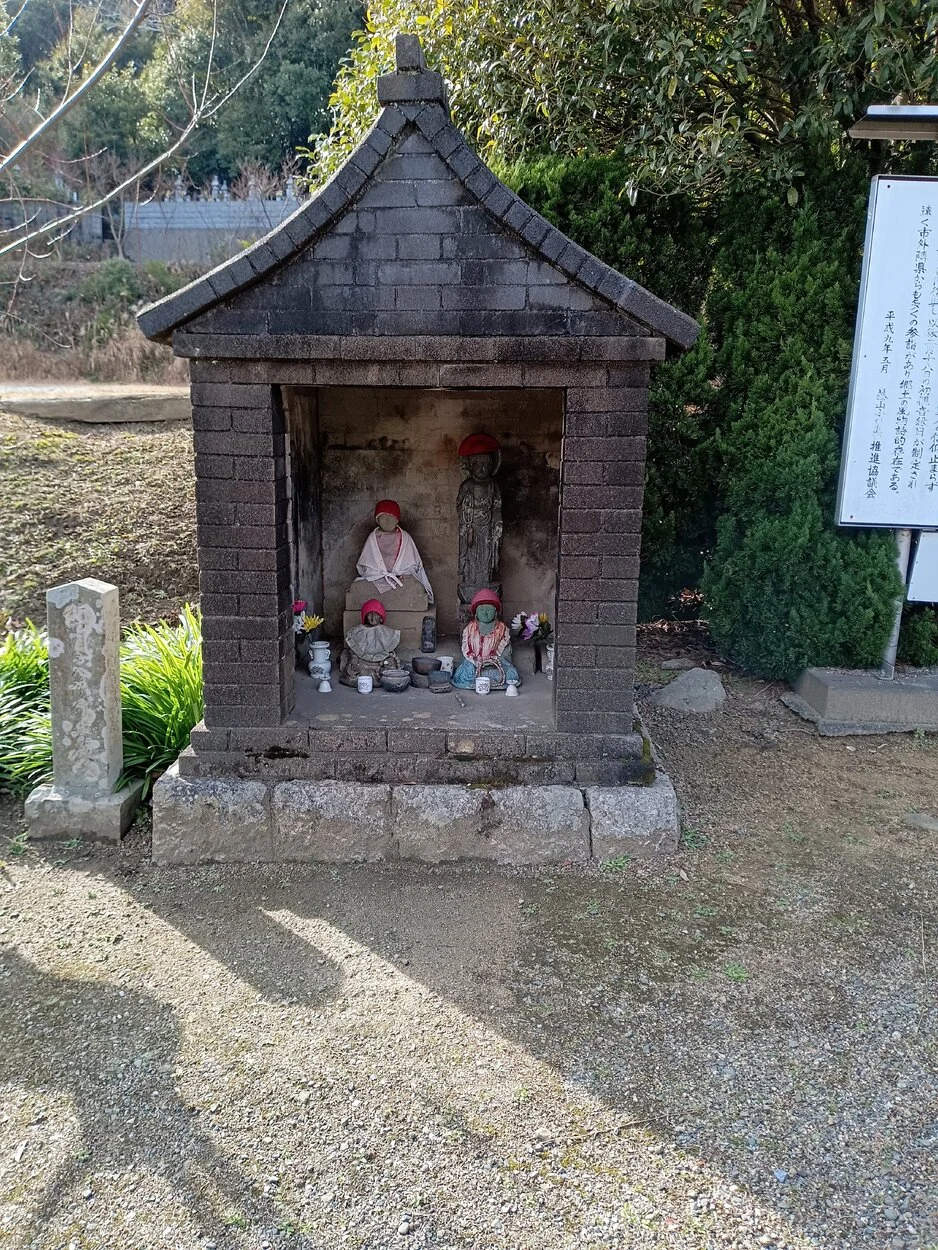 IMG_20230127_141849.webp