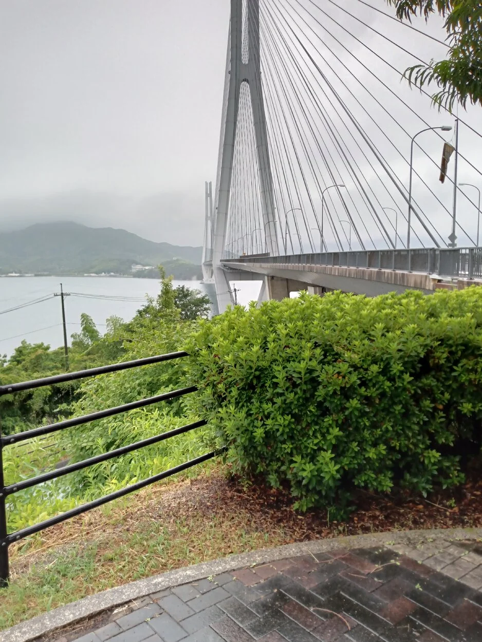 IMG_20230630_080301.webp
