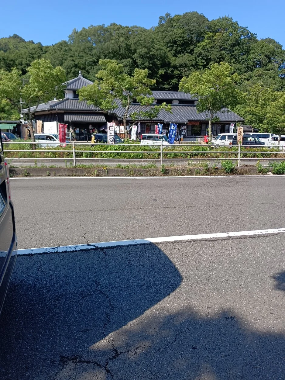 IMG_20230702_084500.webp