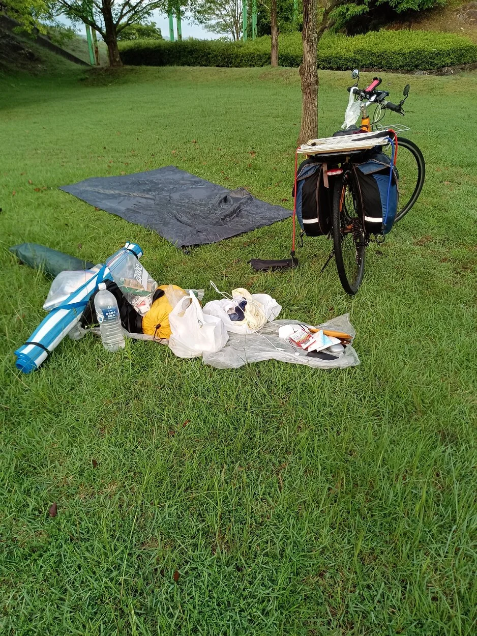 IMG_20230704_055849.webp