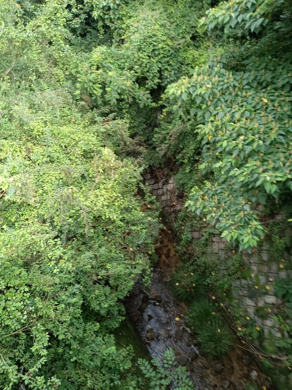 IMG_20230704_073638.webp