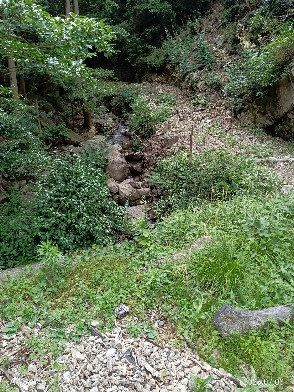 IMG_20230708_134344.webp