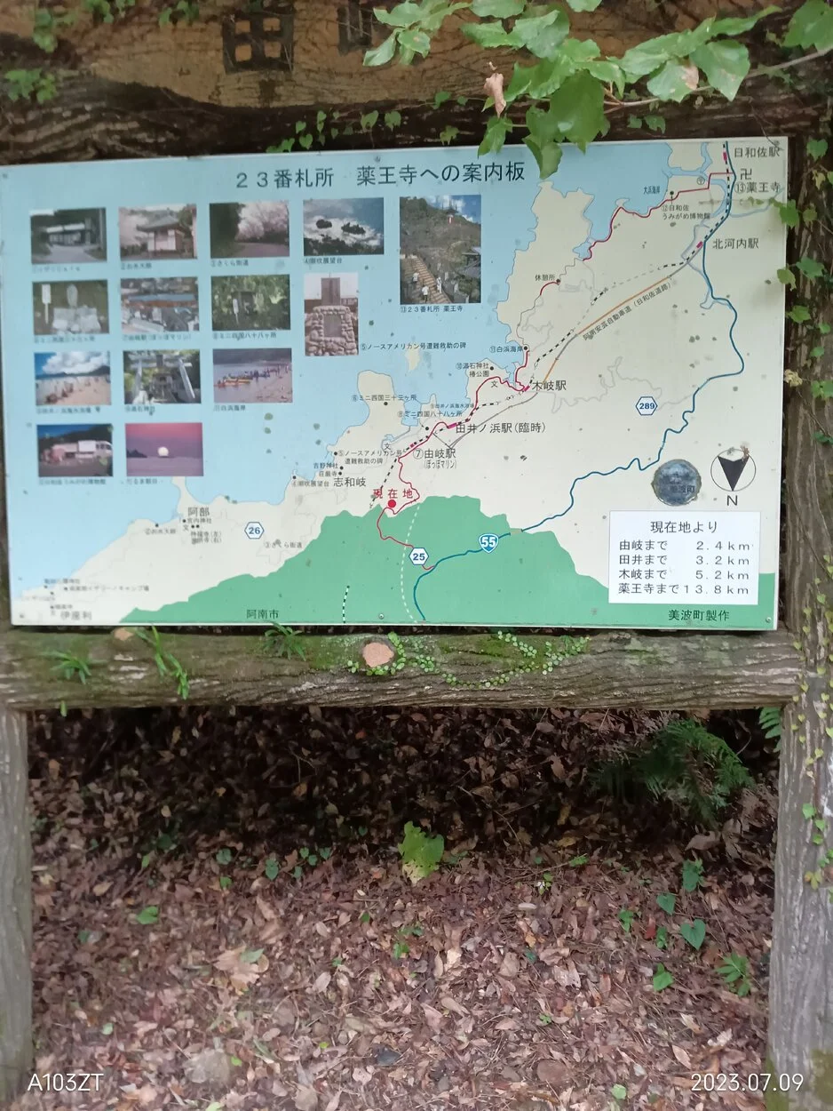 IMG_20230709_073155.webp